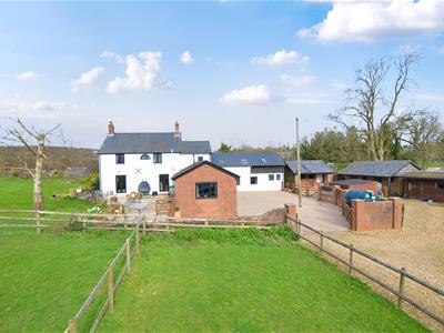 Click to view more details